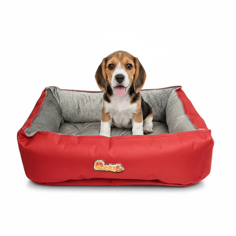 Nootie Sofa Basket Bed for Dogs & Cats – Small (22" x 17" x 6") | Velvet Interior, Mat Exterior, Washable & Scratch-Resistant - Image 15