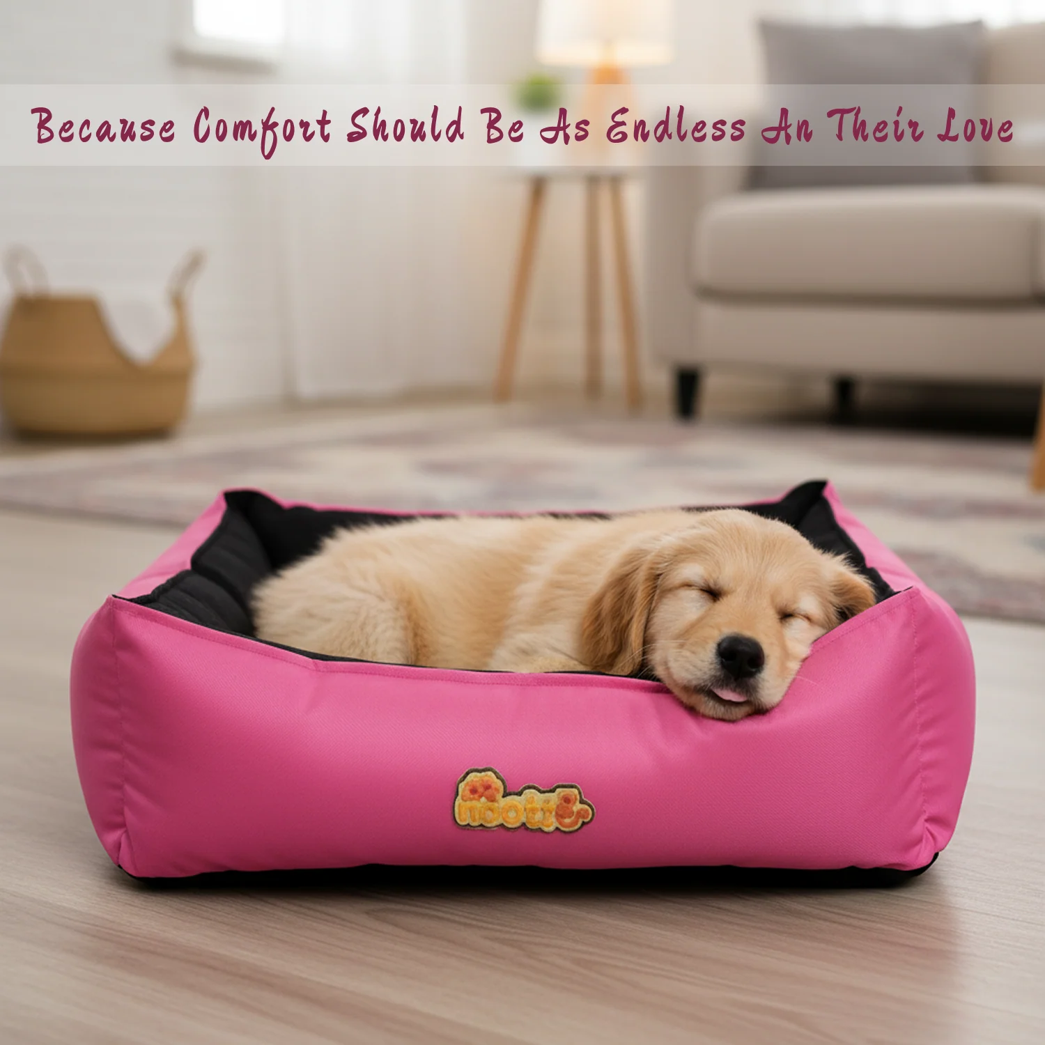 Nootie Sofa Basket Bed for Dogs & Cats – Small (22" x 17" x 6") | Velvet Interior, Mat Exterior, Washable & Scratch-Resistant - Image 9