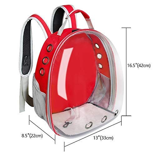 Nootie Transparent Pet Travel Bag for Cats & Dogs | Breathable PVC Backpack Carrier with Ventilation | Ideal for Small Pets up to 6.5 kg - Image 5